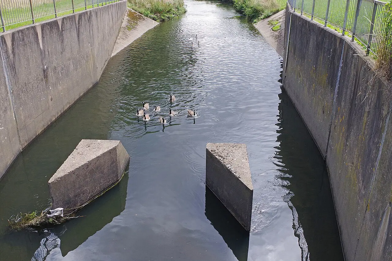 The River Tame at Perry Hall Park