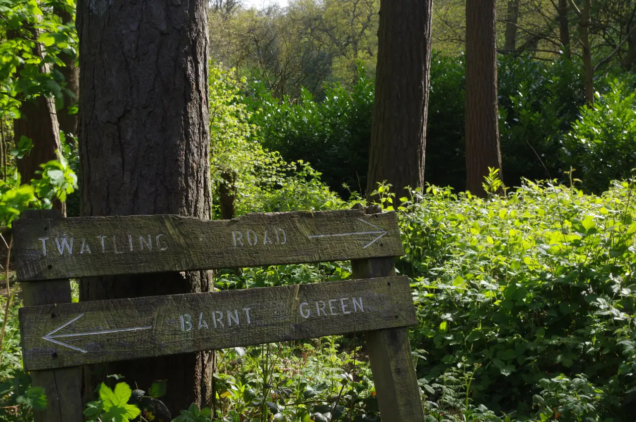 The Lickey Hills on the southern edge of the city