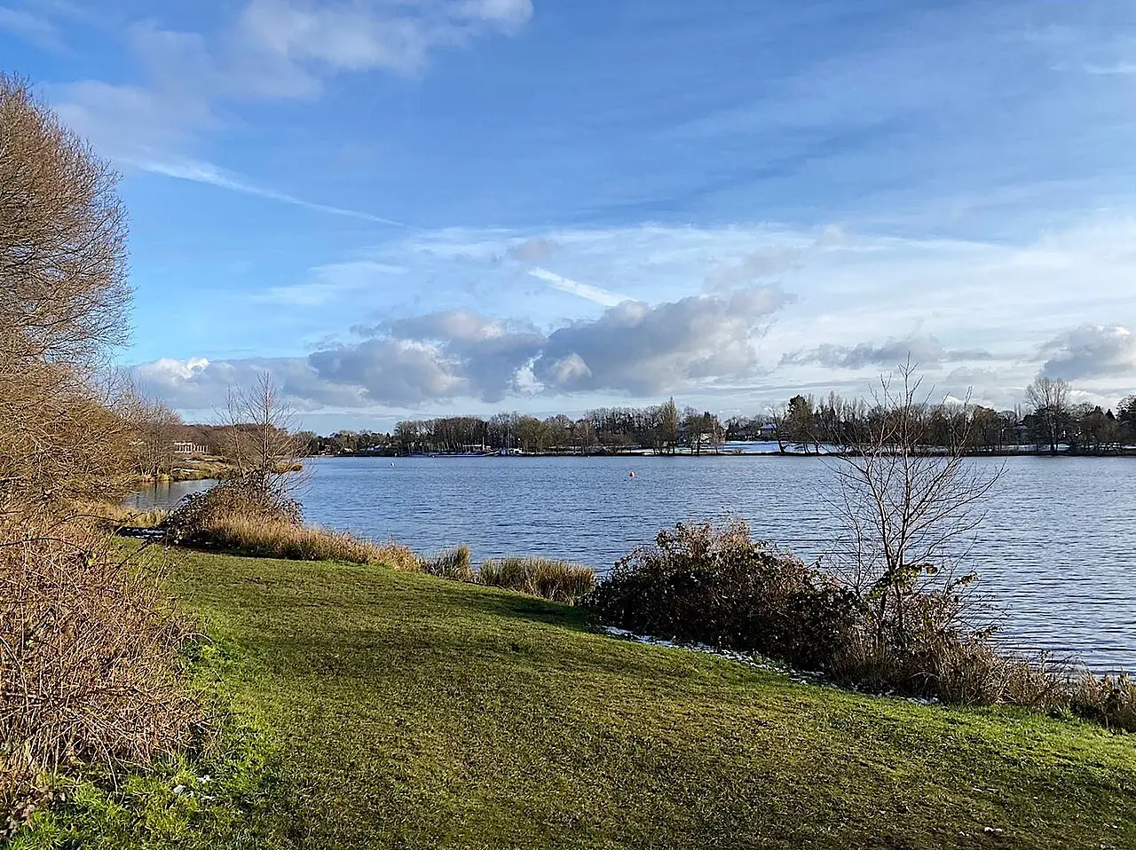 Powell's Pool in Sutton Park