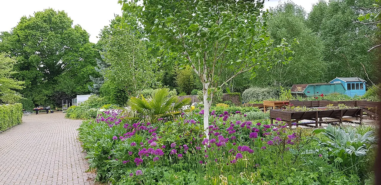 The Television Garden in Kings Heath Park